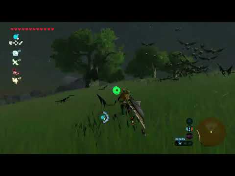yahahuh [BOTW]