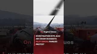 Investigation into Jeju Air crash suggests pilot error, families protest #worldnews #news