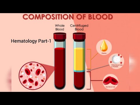 Hematology Part-1/What is Blood? Composition/Classifications/Morphology of Blood cells/Functions