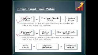 Basics of Options & Option Hedging Strategies