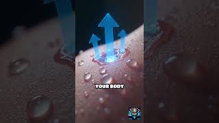 ELI5 Why Do We Sweat #SweatFacts #BodyScience #ScienceShorts #HumanBody