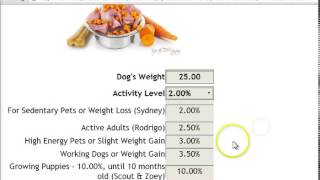 Excel Calcualtor Converted to Html Calculatior for Wordpress
