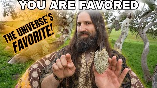 ✨You Are Favored | You Attracted This Alignment | ASMR REIKI Energy Healing