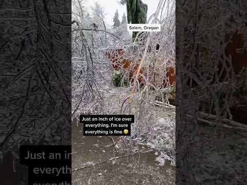 Chilling Adventure: Ice Storms in the PNW #oregon #pnw