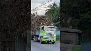 Old Dawg | Cabover Badness | Cane Crop 2026 | Oldskool | Semi Truck