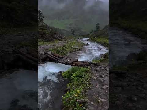 Beauty of Himalayas 🌊🏞️ #himalayas #himalayadarshan #himalayanrivers #river #nature #naturelovers