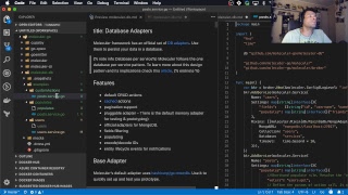Live Coding - Moleculer Go - Examples - Whatsup client app - golang
