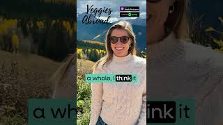 AI Hallucinations : The Unexpected Risks of False Facts when planning your trip