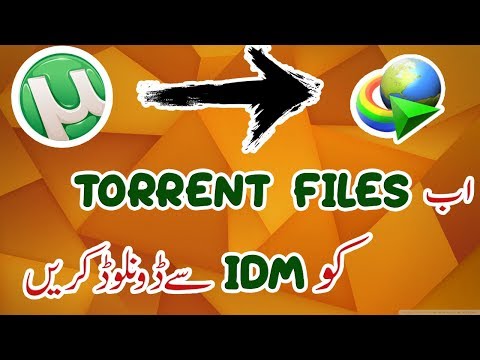 Download Torrent Movies And Files With IDM 2018 | Urdu