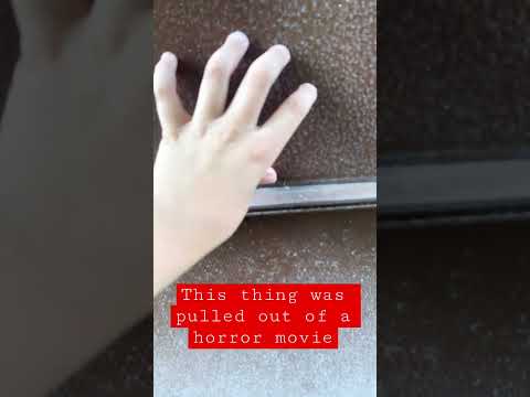This shed was pulled out of a horror movie