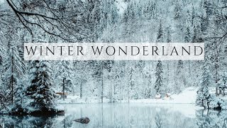 Winter Wonderland | TV Art Slideshow | 1HR 4K | Curated Tv Art | Wintertime Landscape Screensaver