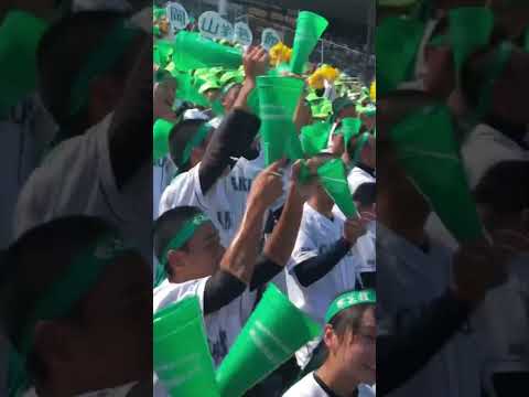 岡山学芸館応援　サウスポー#応援 #高校野球 #甲子園 #アルプス #岡山学芸館#サウスポー