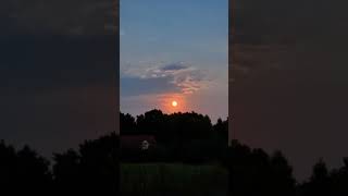 reed moon 🌝#AlphaVibes #ItalyVibes #milan #viral  #MasculineEnergy #Alpha #fyp #music #summer