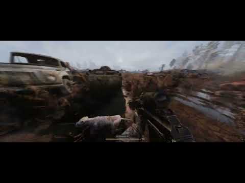 Stalker Anomaly Custom | Absolute Masterpiece