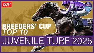 Breeders' Cup Top 10 | Juvenile Turf 2025