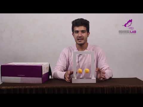 Bernoulli's ball Activity | Gingerlab | Activity Based Learning