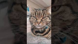 :D #fypppppppppppppppppppppppppppppppppppppppppppppppppppppppppppppppppppppp #pricetag #shorts