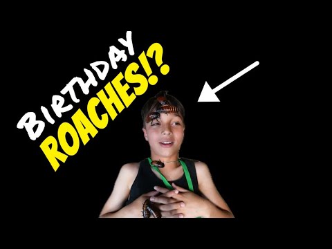 Roaches for Adrian’s Birthday!?