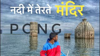 Pong-dam wildlife aur पानी में डूबा स्वर्ग का रास्ता | Bathu ki ladi temple kangra himanchal pradesh