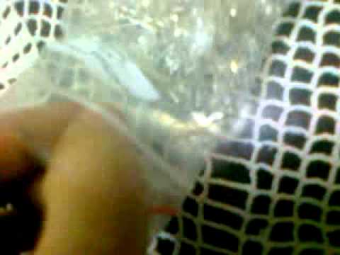 Red Light Emitting Diode LED Light 100 PCS