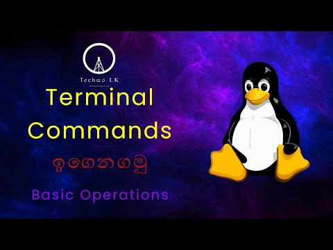 Linux Terminal Commands ගැන ඉගෙනගමු  (Basic Operations) | Let's learn Linux Commands | Techසර LK