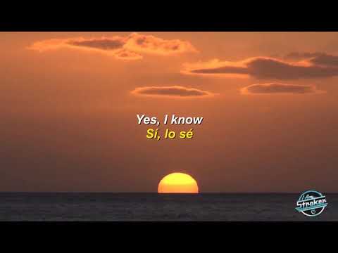 The Strokes Hawaii Subtitulada en Español