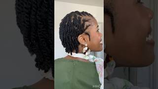 4c Hair😍✨#4chair #4chairstyles #protectivestyles #twostrandtwists #afrohair #hairgrowth #haircare