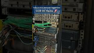 #electrical #kitten #smartcomputers #computersoftware #smartelectronics #software #cat #tech