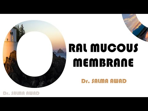 Gingiva and Hard palate ( Oral mucous membrane 1 )