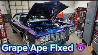 Grape Ape Fixed
