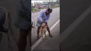 India: Man Ties Dog To Bike & Drags It For Nearly 2 Kilometres | N18G