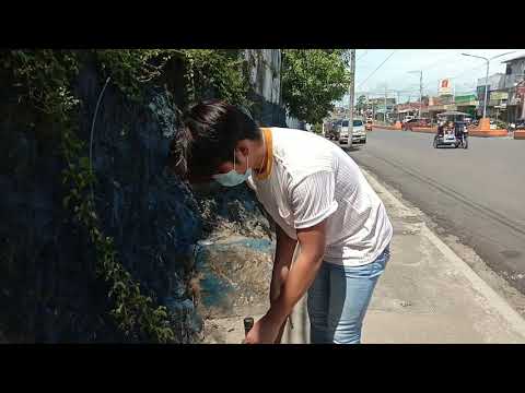 Pandemic — A short documentary film