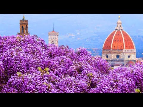 Firenze