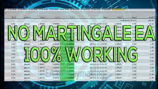 MT4 Exper Advisor, No Martingale EA V3.5, 40-100% profit monthly 1 pair