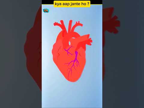 Dil Ku ? 💦 #shortsviral #facts #viral #amazingfacts