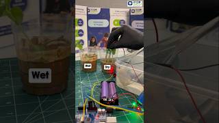 DIY Smart Irrigation System #roboarmy #diyrobotics #irrigationsystem #scienceproject