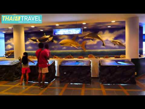 แสดงพันธุ์สัตว์น้ำระยอง Thaimaptravel.com