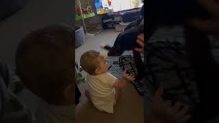 When babies react .. #fun #pets #ytshorts #fyp