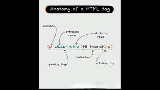 Anatomy of a HTML Tags 😲#thejetsetjoy #coding #viralvideo #freshers#education #html #css