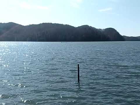 VID 20190131 123731086