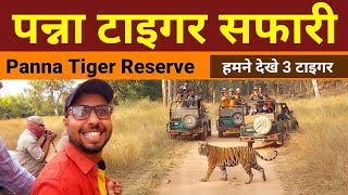 हमने देखे 3 टाइगर - Panna National Park Safari | Panna tiger reserve | panna wildlife sanctuary
