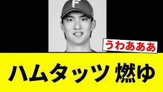 [Tattsu] Hamutatsu on fire [Pro Baseball Reactions] [2ch Thread] [NanG]