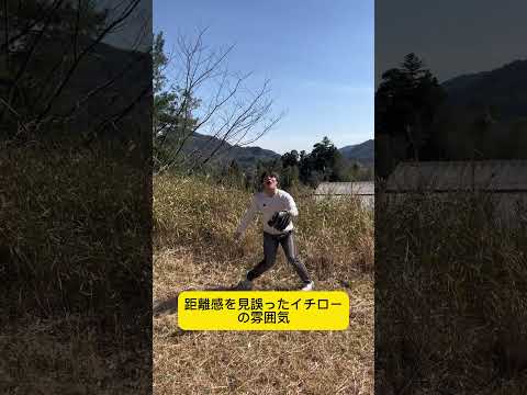 猿も木から落ちる。#野球#イチロー
