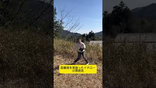 猿も木から落ちる。#野球#イチロー