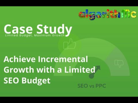 Discover how SEO can help your business achieve a 350% YoY increase in sales & ROI.