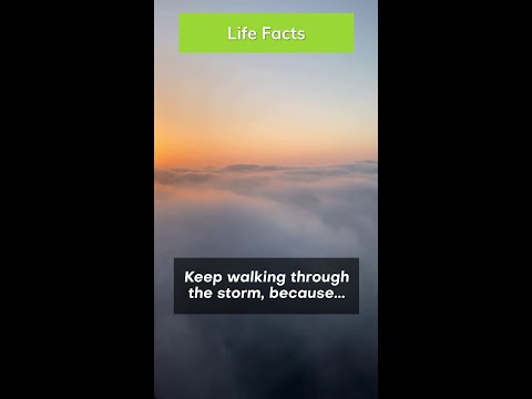 Always Keep Moving Forward