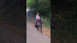 Half term fun 🐎 #hackingout #trailriding #shorts