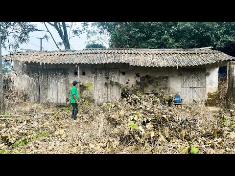 The Storm Took His Family — But Couldn’t Destroy His Spirit. Renovation Old House.