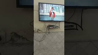 School performance UKG class/#school #schoolprogramming #dance #shorts #youtubeshorts