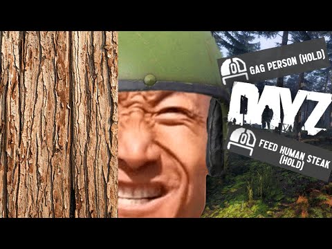 You cant have friends on DayZ in 2024